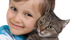 لعب مع القطة