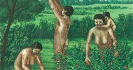 الإنسان القديم، تجميع