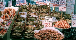 تعد المأكولات البحرية مصدراً غذائياً هاماً