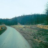 مخازن الأخشاب المنشورة الخشبية بالقرب من الطريق