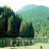 البحيرة الحمراء