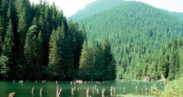 البحيرة الحمراء