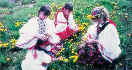 بنات يلعبن بنبات الطرخشقون