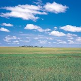 السهل المجري الكبير