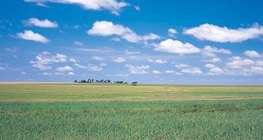 السهل المجري الكبير