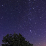 كوكبة حامل رأس الغول و كوكبة ذات الكرسي