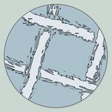 صورة مجهرية للشاش