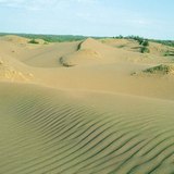 تل رملي مع أمواج الرياح