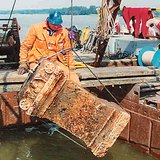 Római kori faragott kövek kiemelése (Duna, Bölcske)