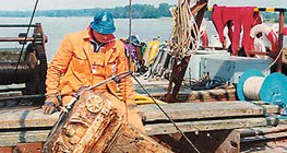 Római kori faragott kövek kiemelése (Duna, Bölcske)