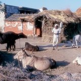 قرية آسيوية