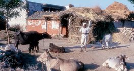 قرية آسيوية