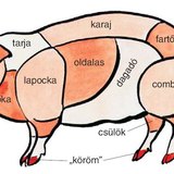 A sertés bontási részei