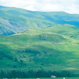 رعي الأغنام في بريطانيا العظمى