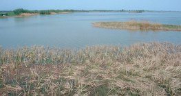 A Tisza-tó