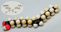 نموذج ملء الفراغ لحمض الزيت