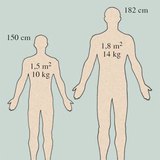 قياسات الجلد