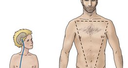 تنظيم هرمونات الخصي