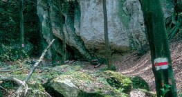 إشارات الرحلات السياحية