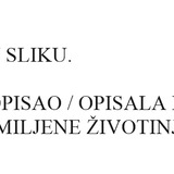 mačka