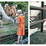 جولة في حديقة الحيوانات