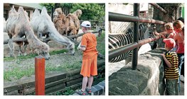 جولة في حديقة الحيوانات