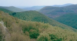 جبال متوسطة