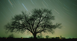 أشكال النجوم في السماء ليلاً