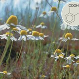 مشتقات حمض الساليسيليك ذات تأثيرات طبية