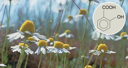 مشتقات حمض الساليسيليك ذات تأثيرات طبية