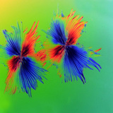 شعيرات نجمية