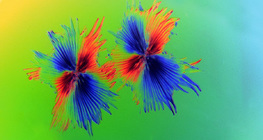 شعيرات نجمية