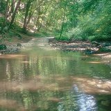 جدول الكوها في الباكوني (المجر)