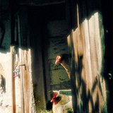 حظيرة الدواجن