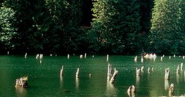 تشكلت البحيرة الحمراء في ترانسيلفانيا عن طريق الانزلاقات الأرضية