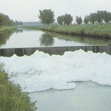 تلوث المياه