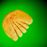 حرشفة (سمك الفرخ)