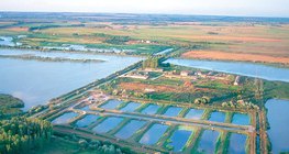 أحواض أسماك