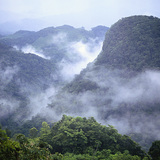 أدغال سيلفا لاكاندونا