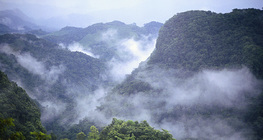 أدغال سيلفا لاكاندونا