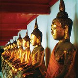 تماثيل بوذا في معبد الرخام (بانكوك، تايلاند)