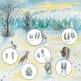 آثار أقدام حيوانات في الثلج