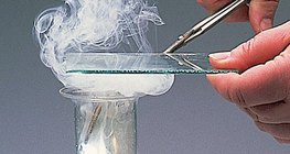 تفاعل المغنيزيوم مع الكلور