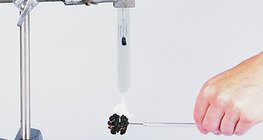 فحص كمية الطاقة في قشرة الجوز