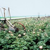 معدات الري النقالة التلقائية