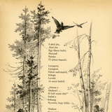 Arany János: Mátyás anyja