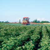 السهول هي أهم المناطق الزراعية