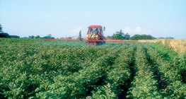 السهول هي أهم المناطق الزراعية