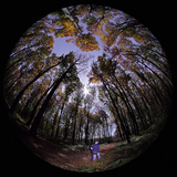 ضوء القمر من خلال عدسة عين السمكة