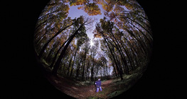 ضوء القمر من خلال عدسة عين السمكة